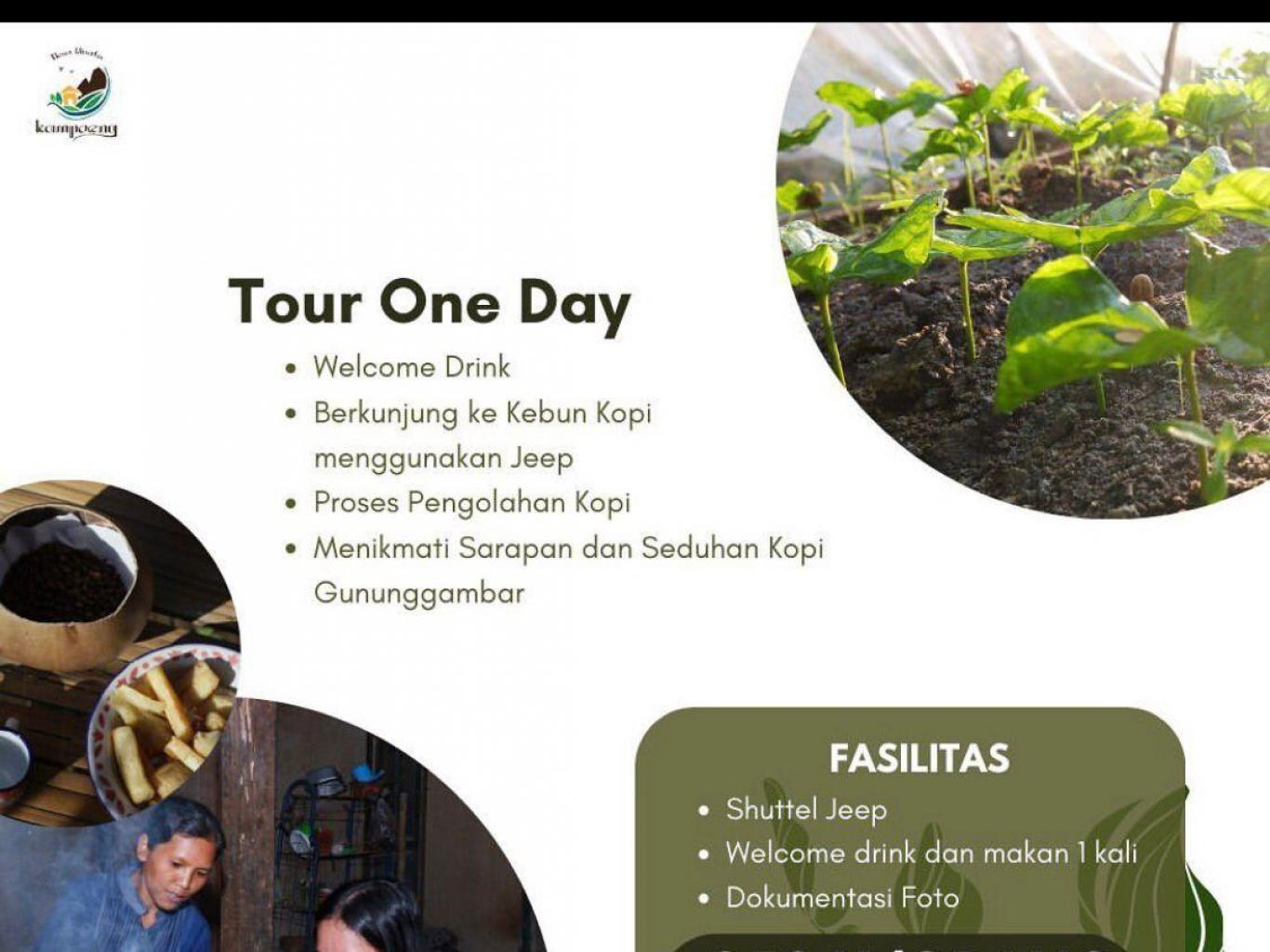 paket panen kopi