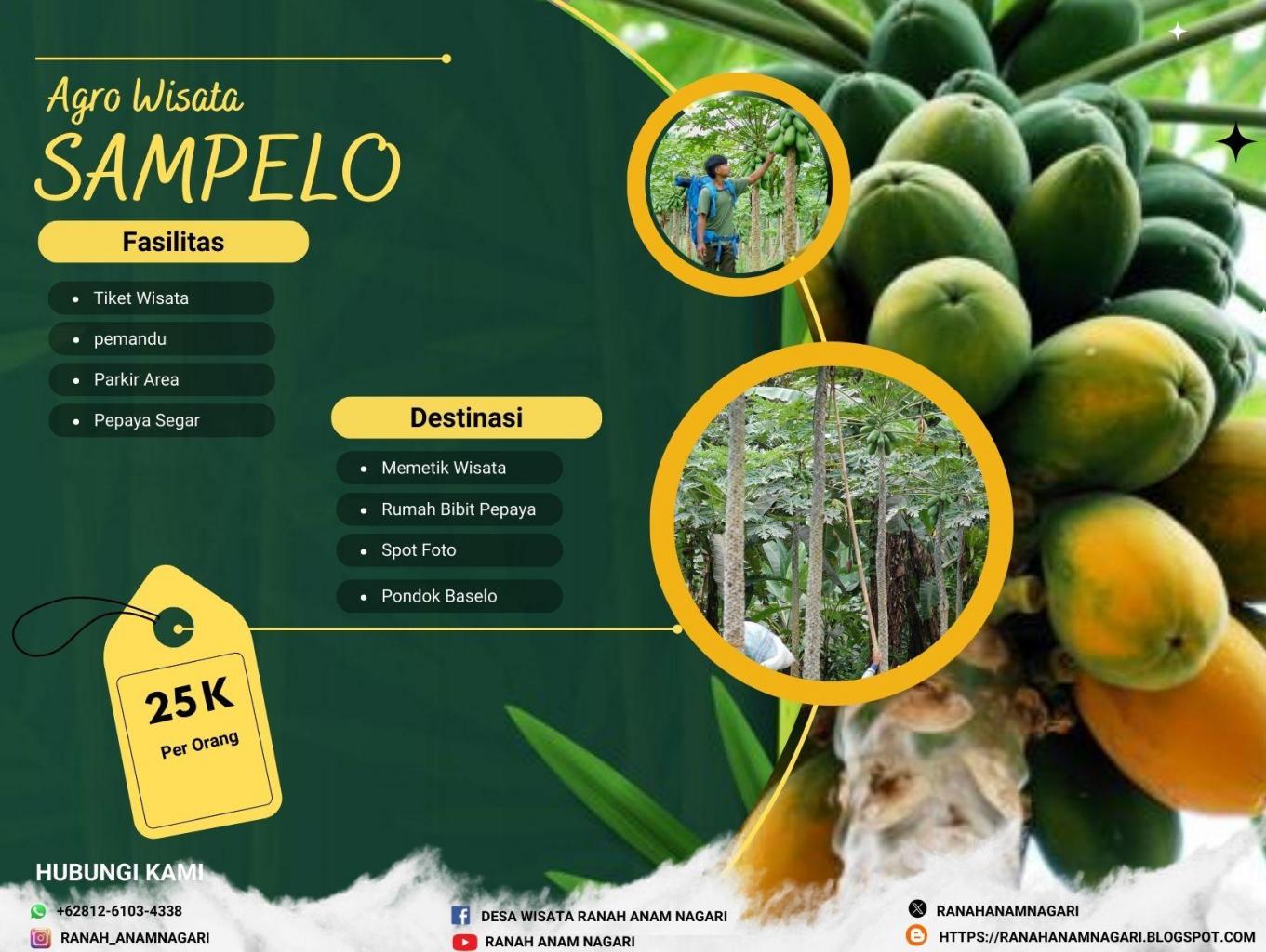 Agro Wisata Sampelo