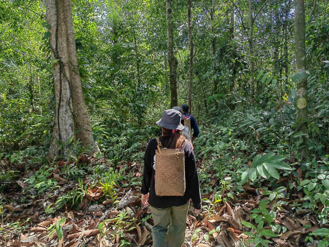 Trekking Hutan Adat