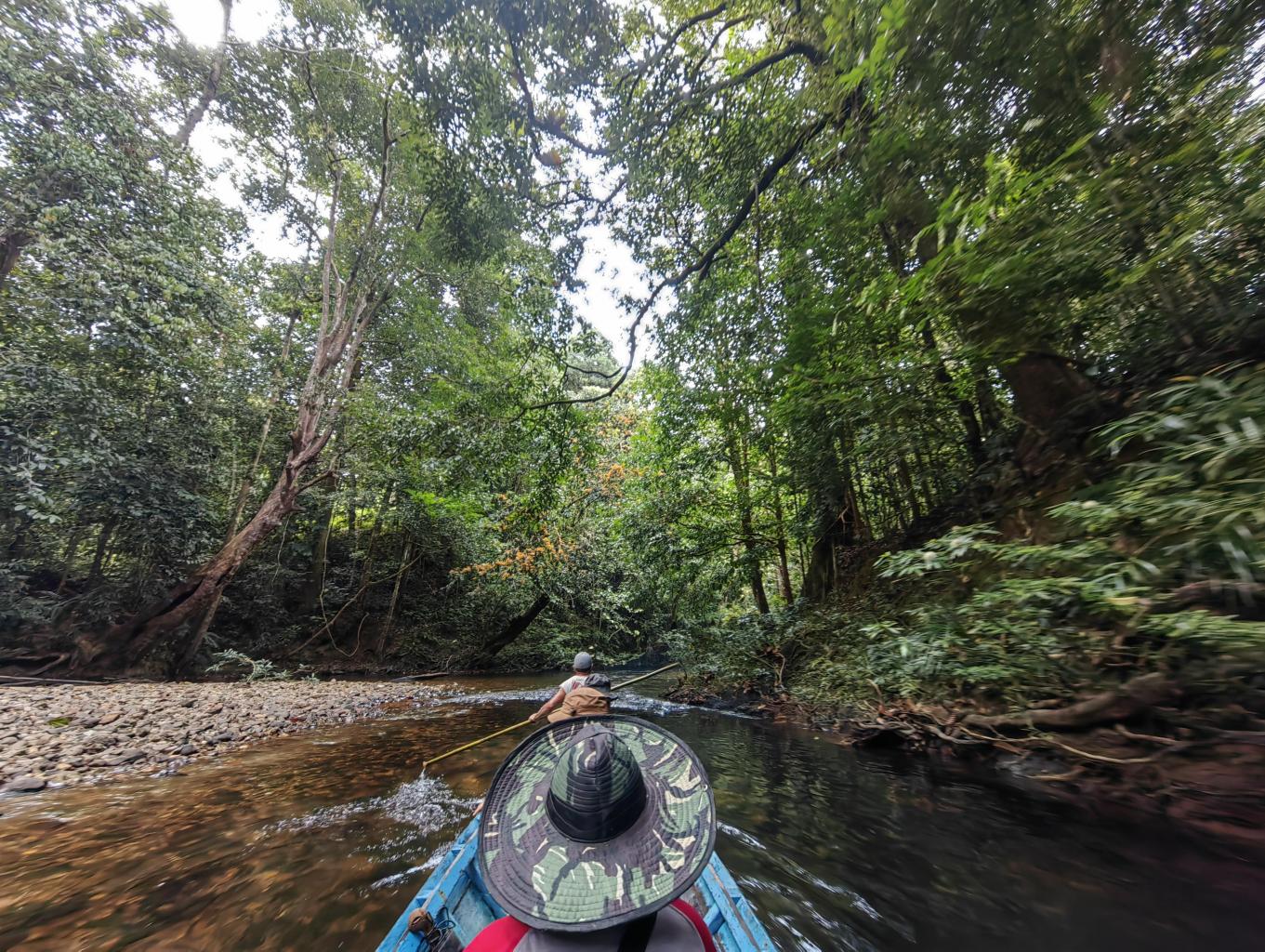 Susur Sungai Utik