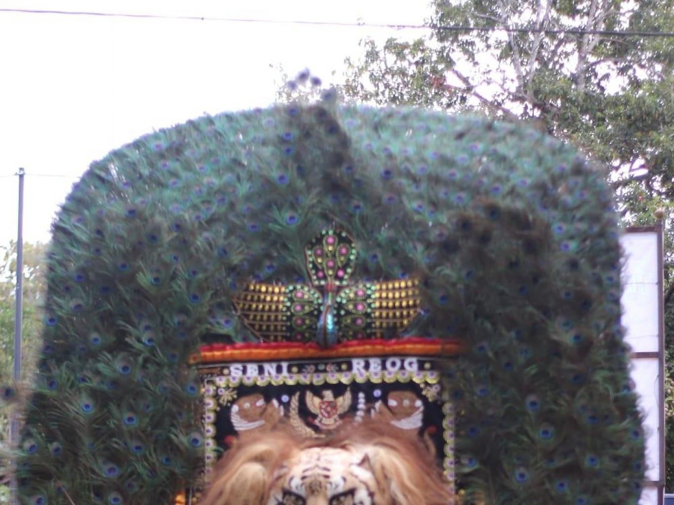 Tarian Dadak Merak