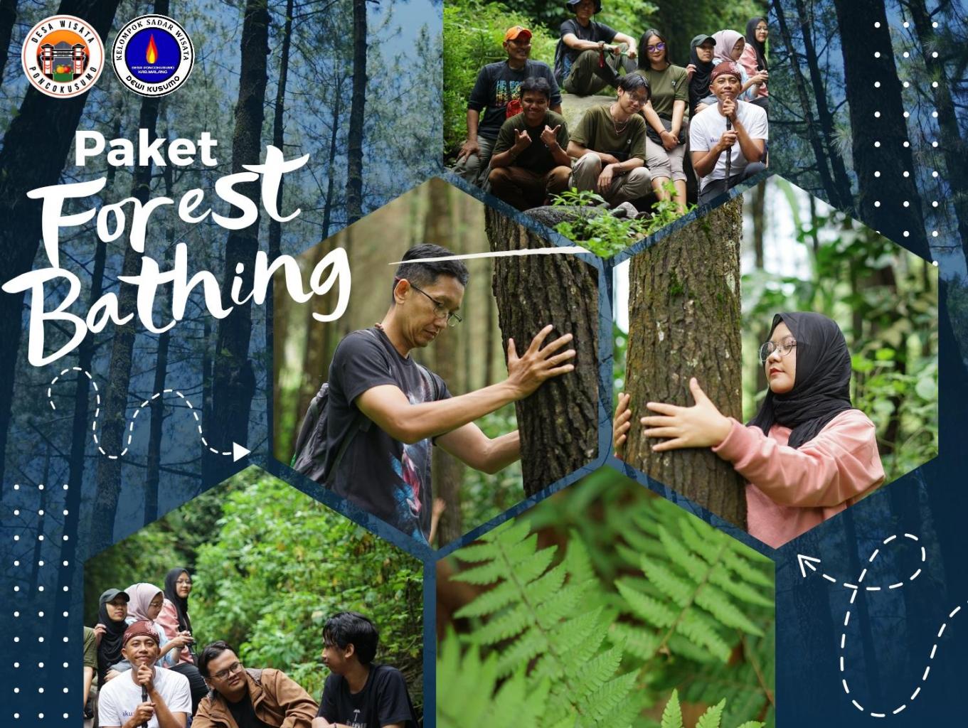 Paket Forest Bathing