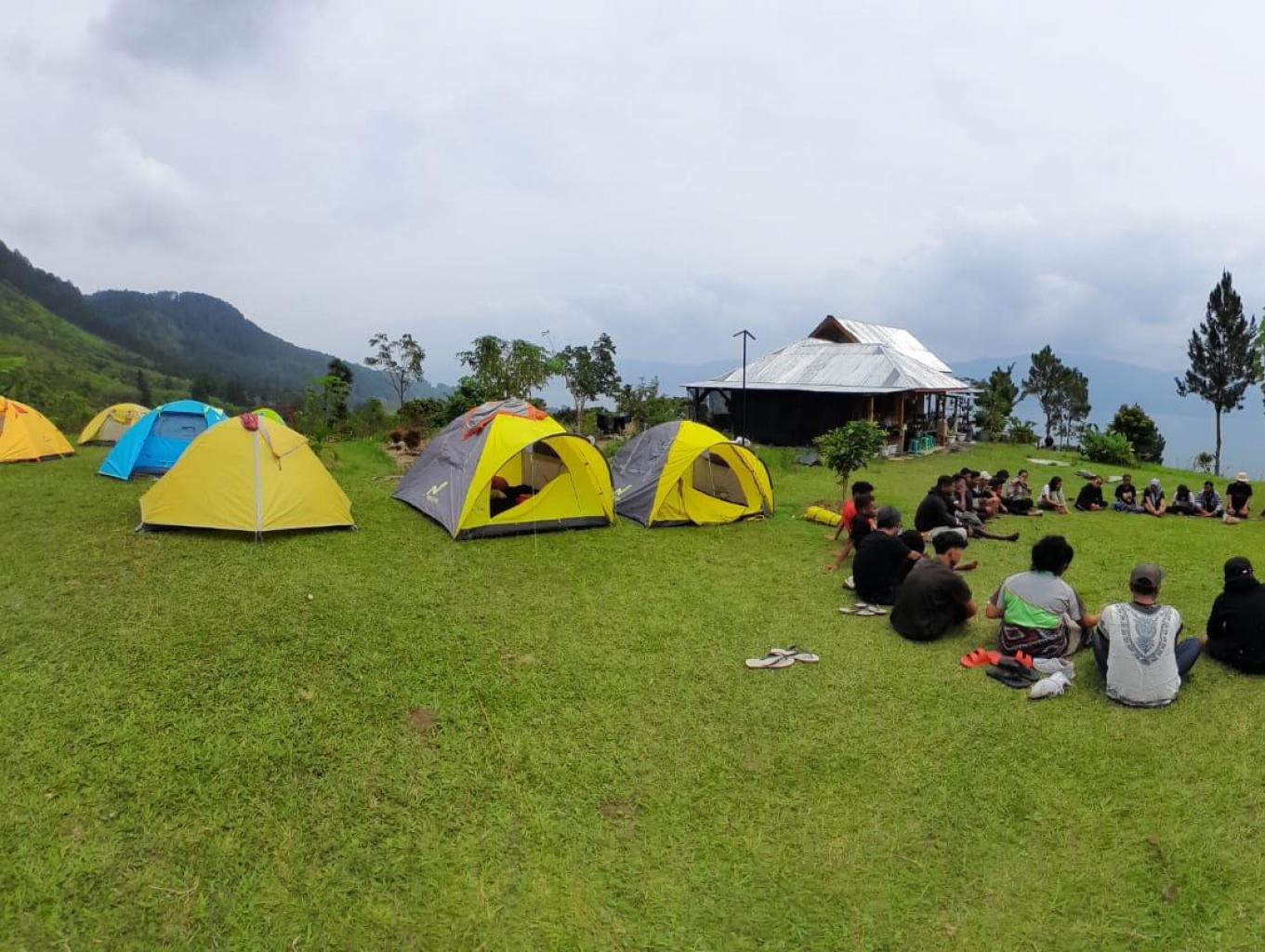 Camping Pea Farm