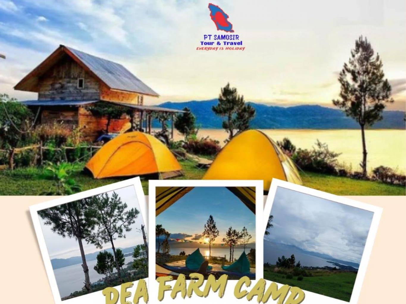 Camping Pea Farm