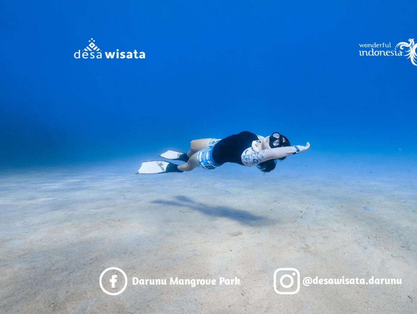 Free Diving 