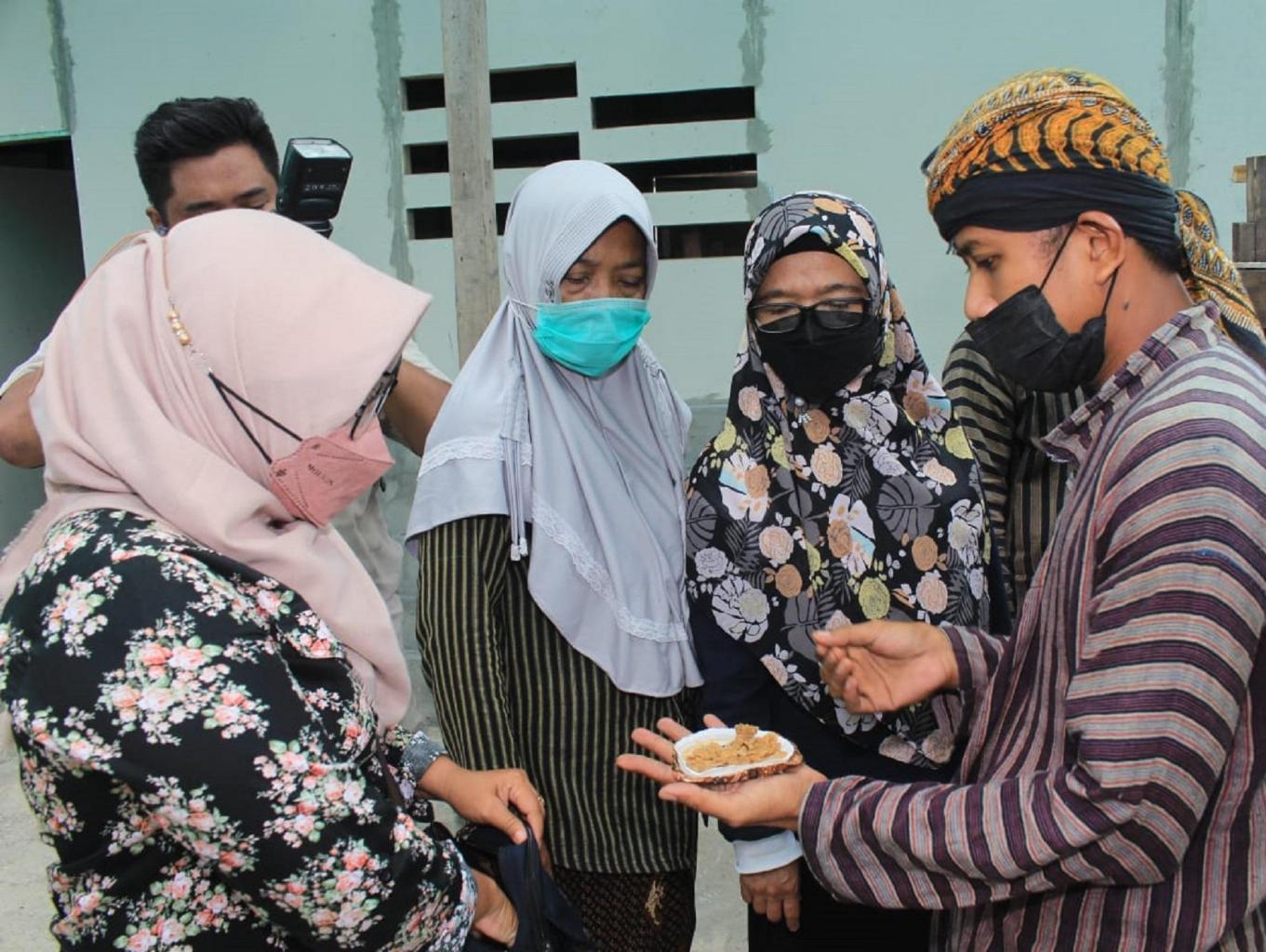 Budidaya Maggot BSF