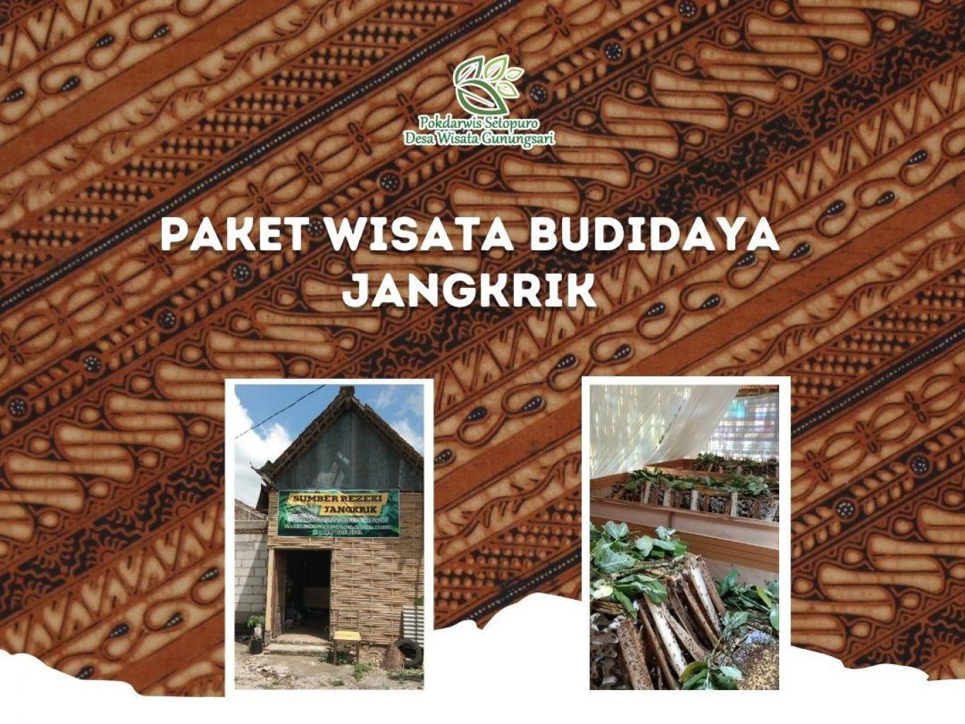 Paket Wisata Budidaya Jangkrik
