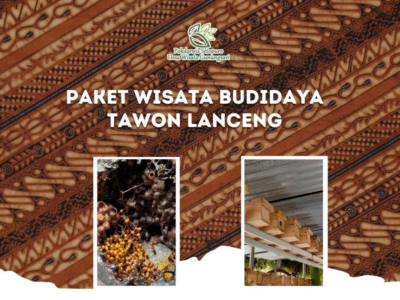 Paket Wisata Budidaya Tawon Lanceng