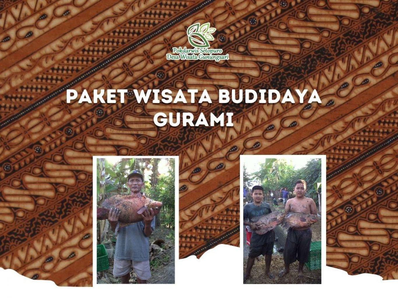 Paket Wisata Budidaya gurami