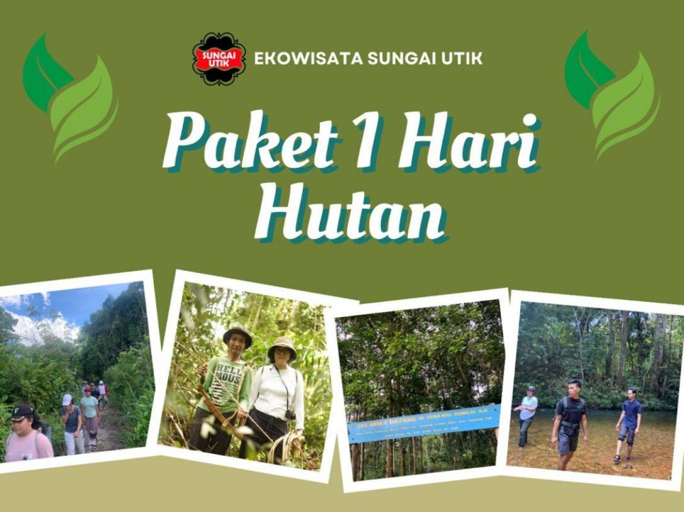 Satu Hari Hutan