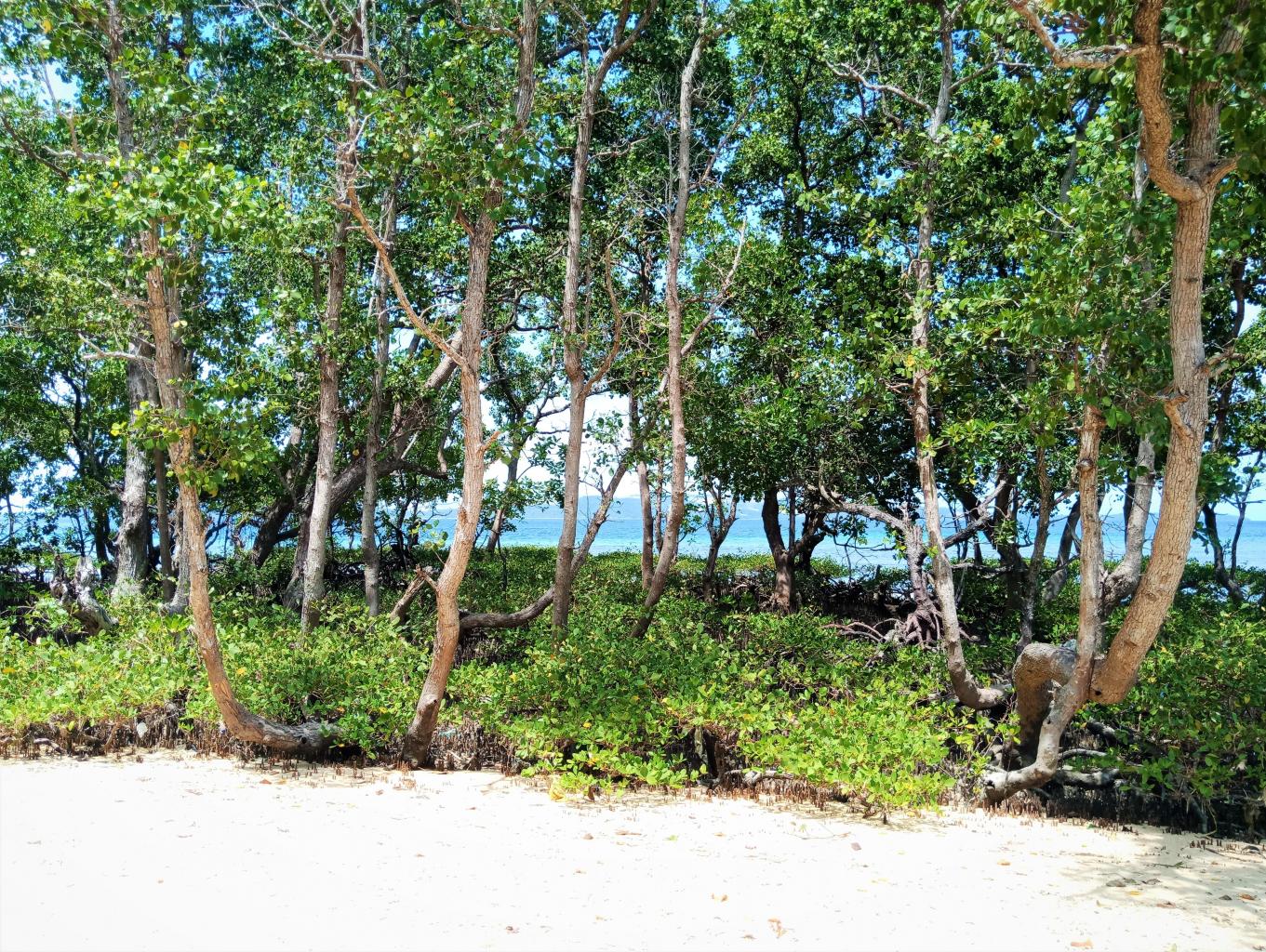 wisata Edukasi