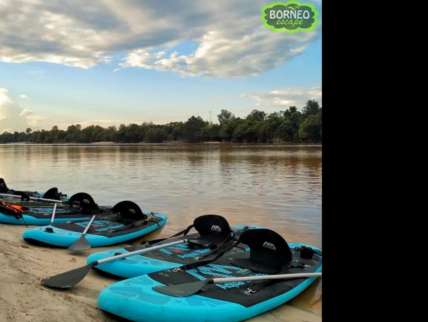 Borneo Escape