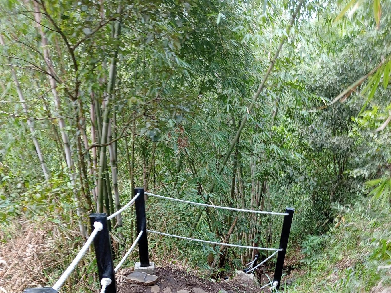 Wisata Alam Molis