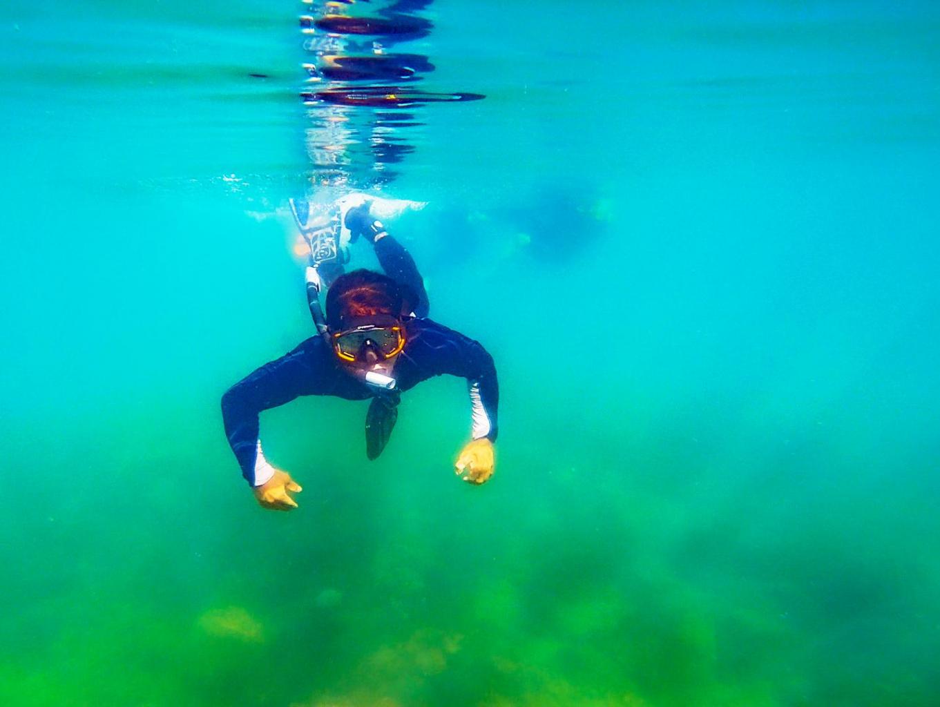 Fun Snorkeling