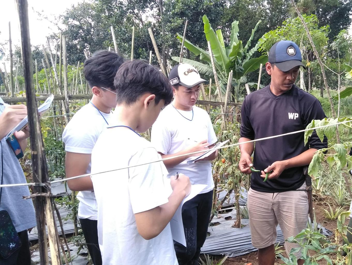 Wisata holti kultur