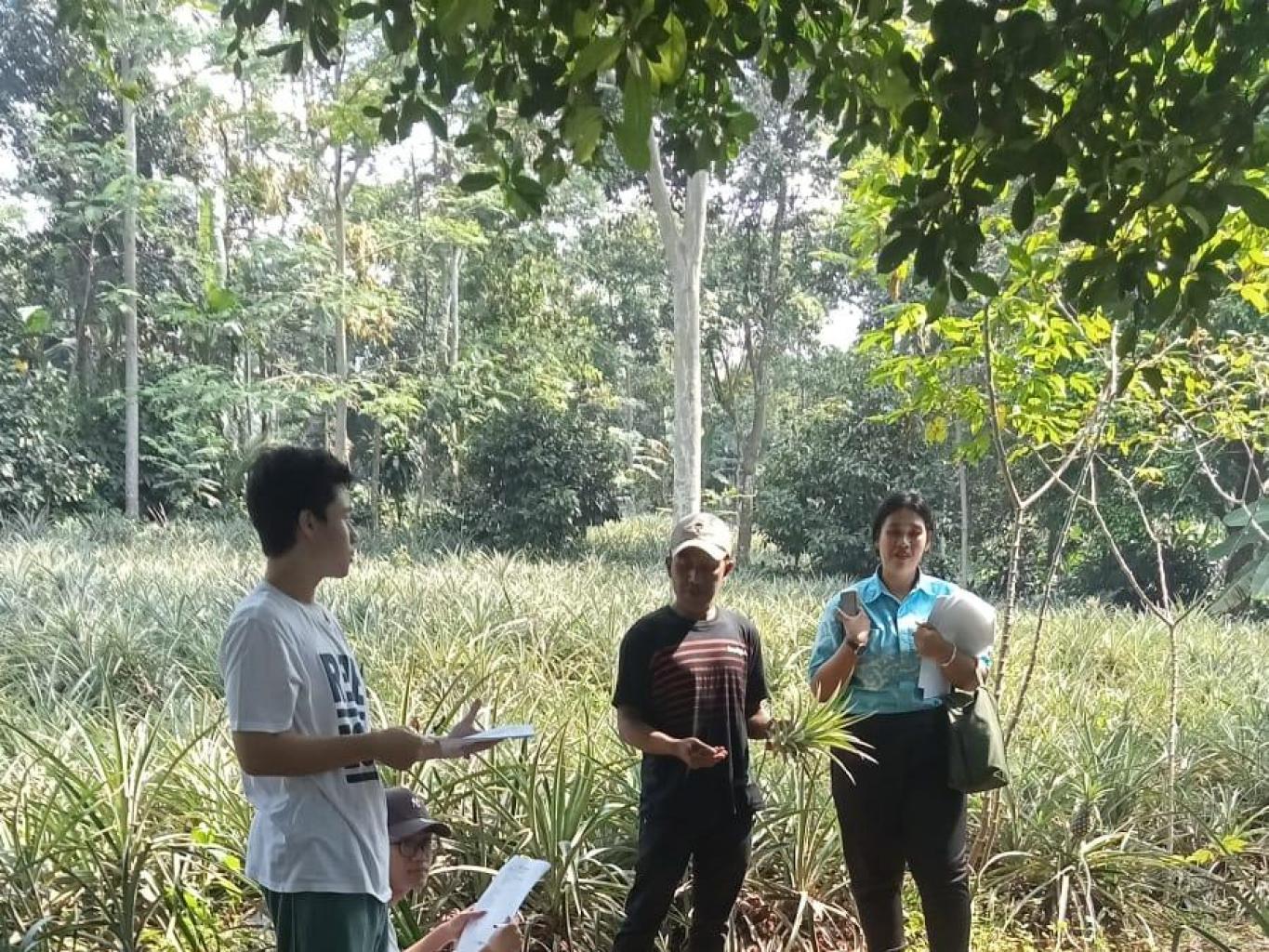 Wisata holti kultur