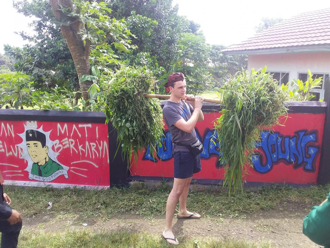 Wisata budaya
