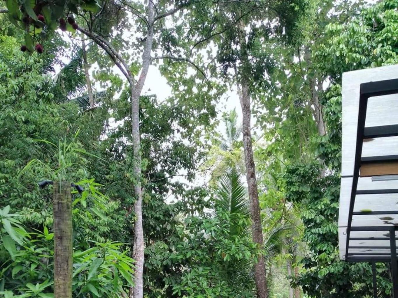 Rumah Makan View Sungai Desa Wisata Sawangan