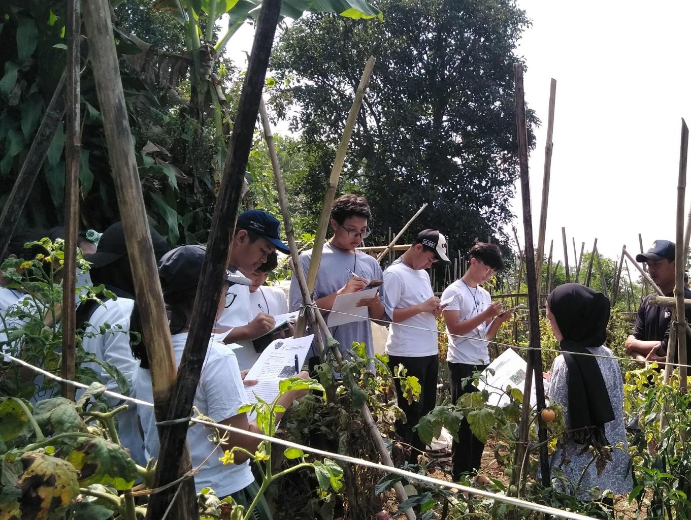 Wisata holti kultur