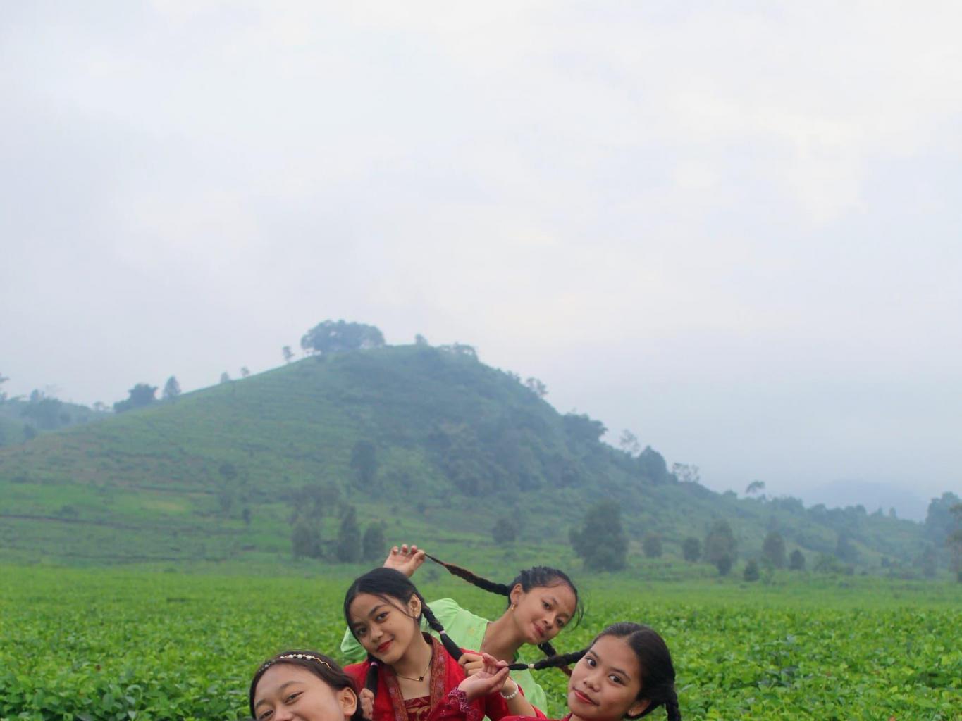 Kebun tea