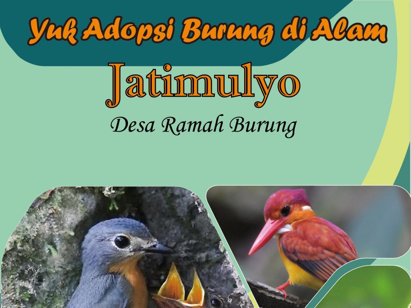 Adopsi Sarang Burung Jatimuluo