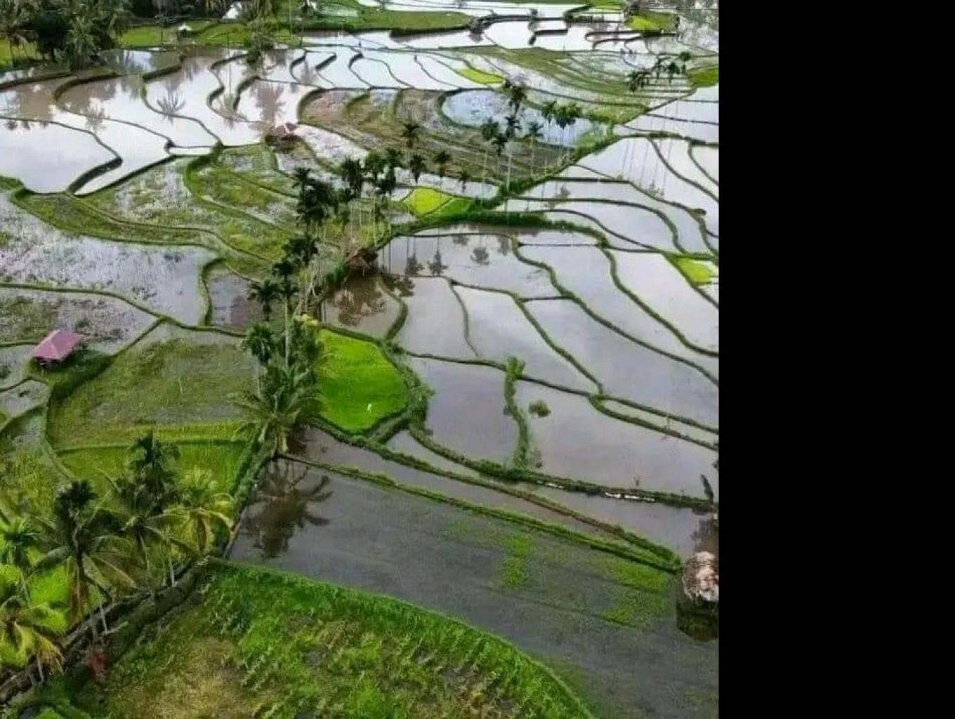 panorama work bangket uban