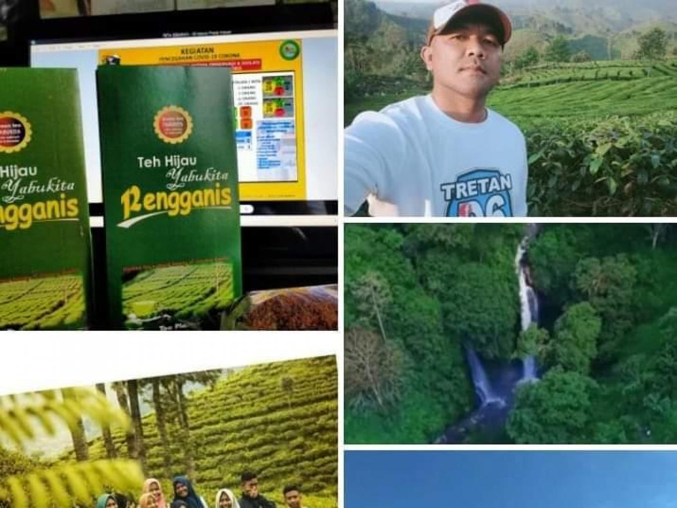 AGROWISATA KEBUN TEH LAWANG KEDATON ANDUNGBIRU