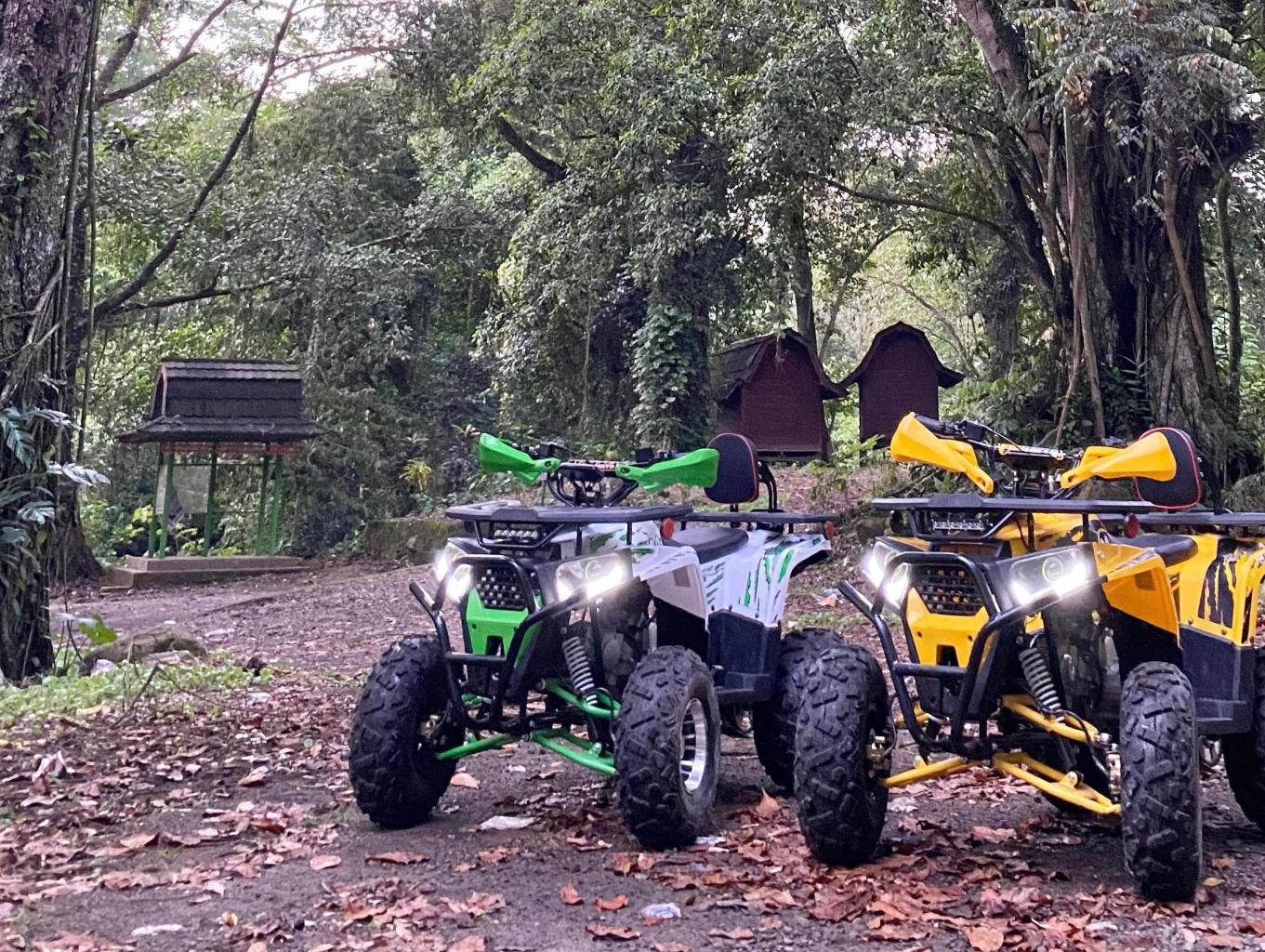 ATV Ride