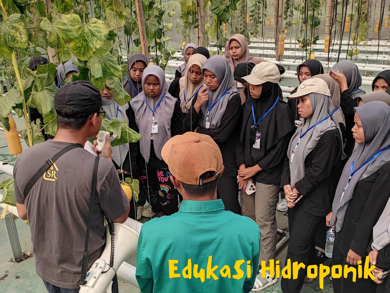 Edukasi Hidroponik