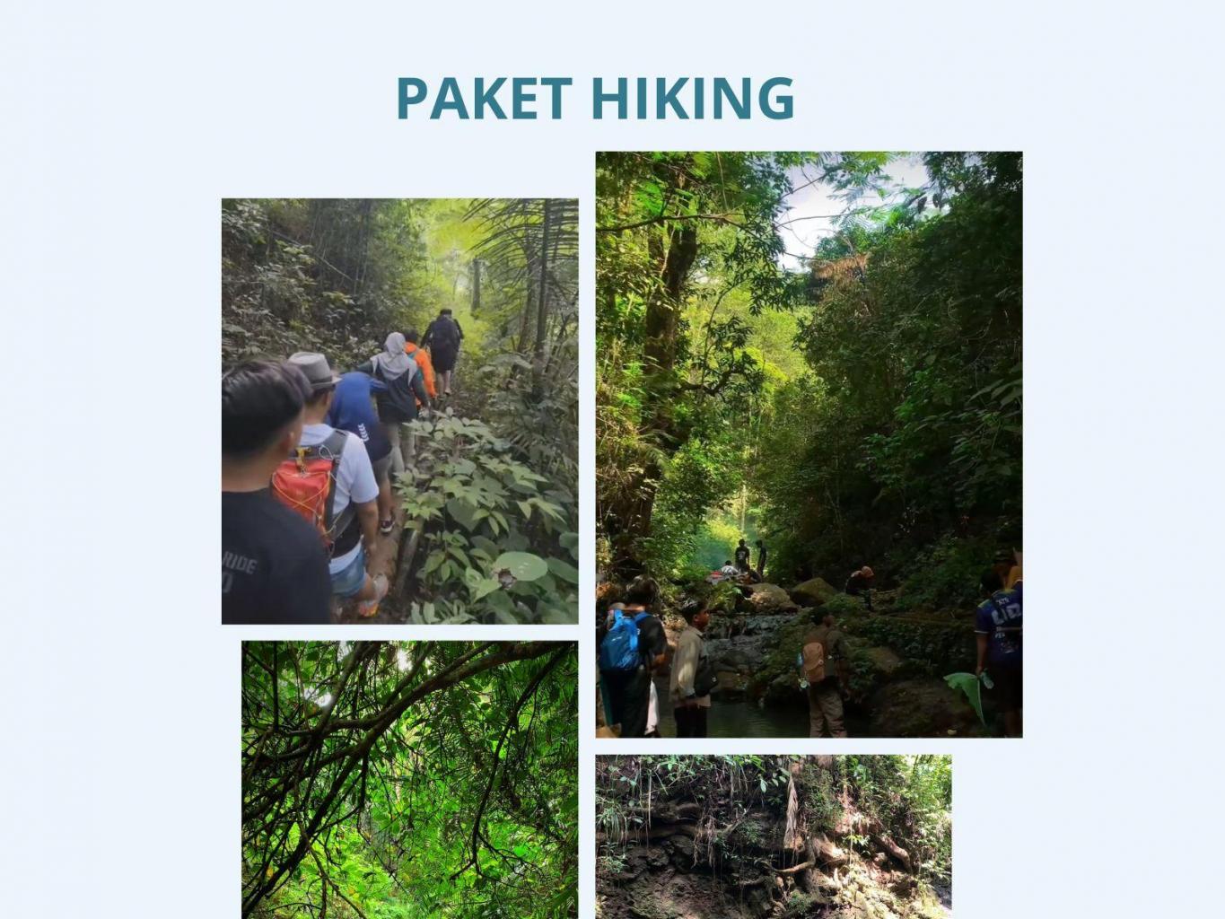 HIKING HUTAN DAN SUNGAI CIBODAS