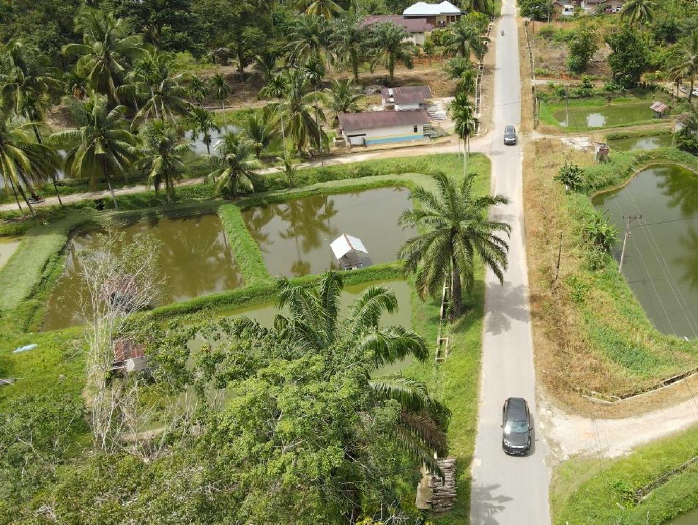 Kampung Patin