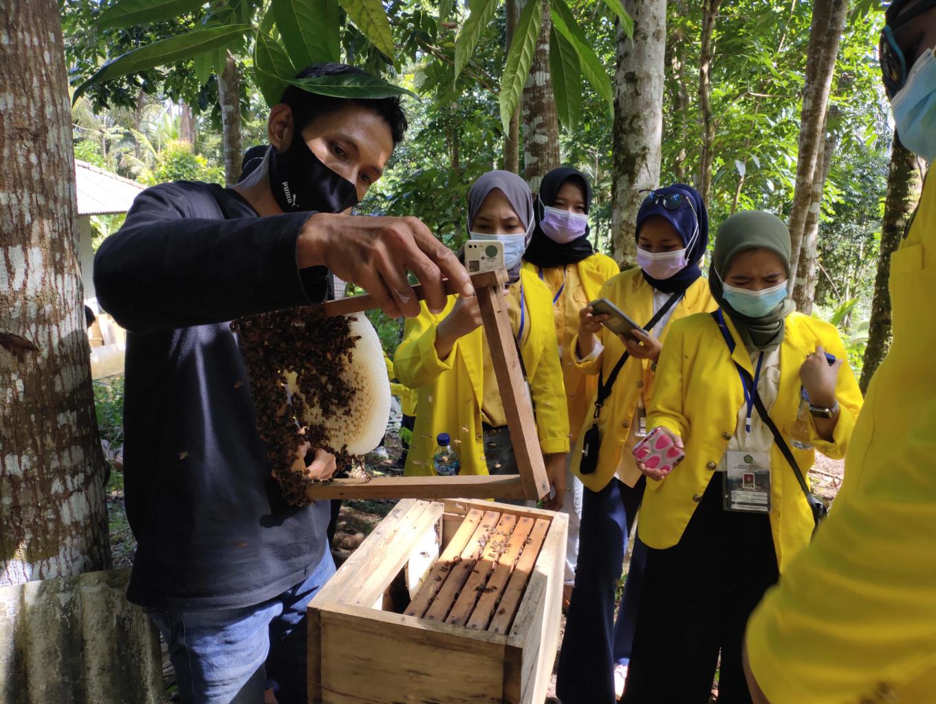 Budidaya Lebah Madu