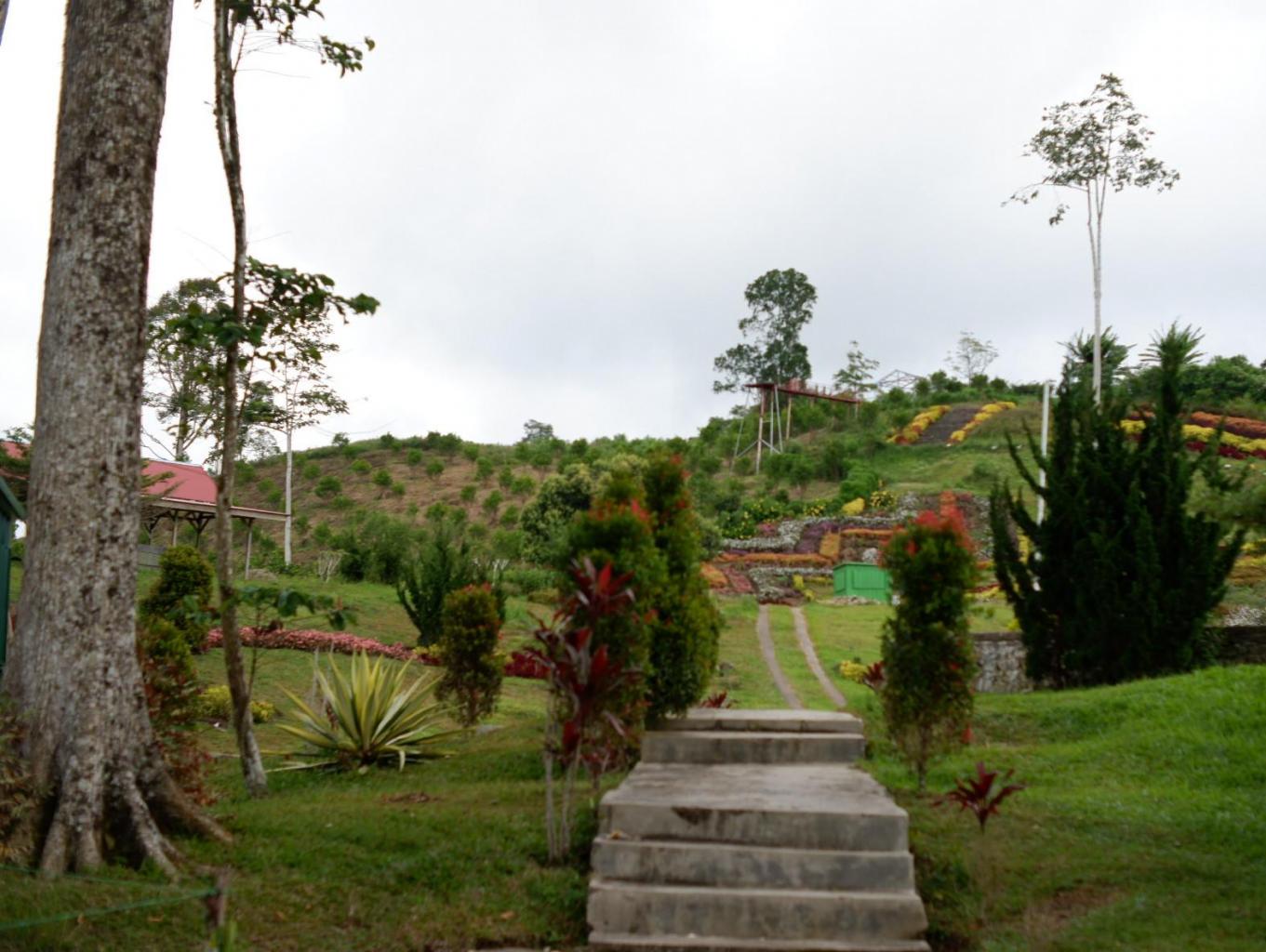 Taman Bunga Puncak Tonang