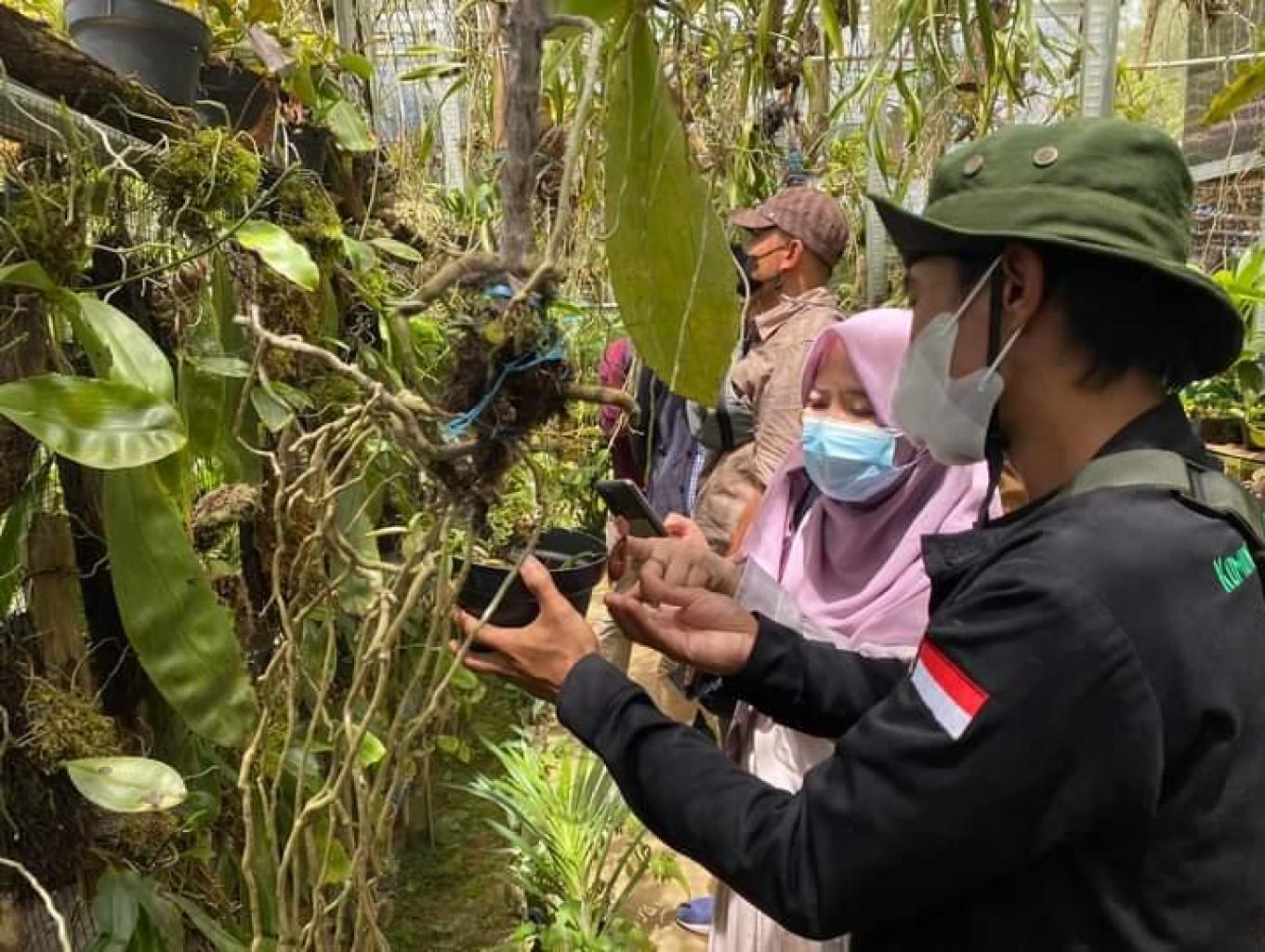 Wisata Edukasi Anggrek Endemik 
