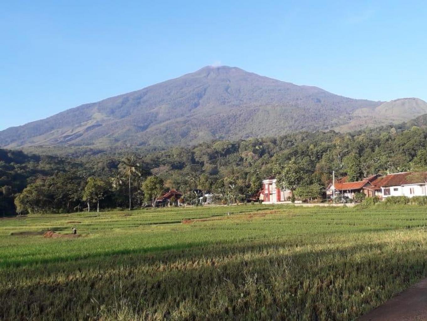 Cibuntu