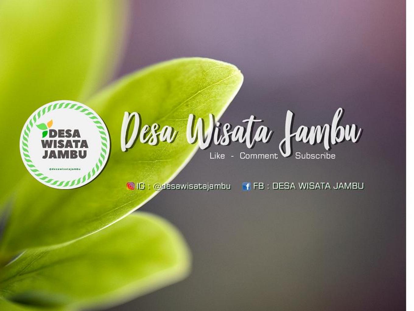 Jambu