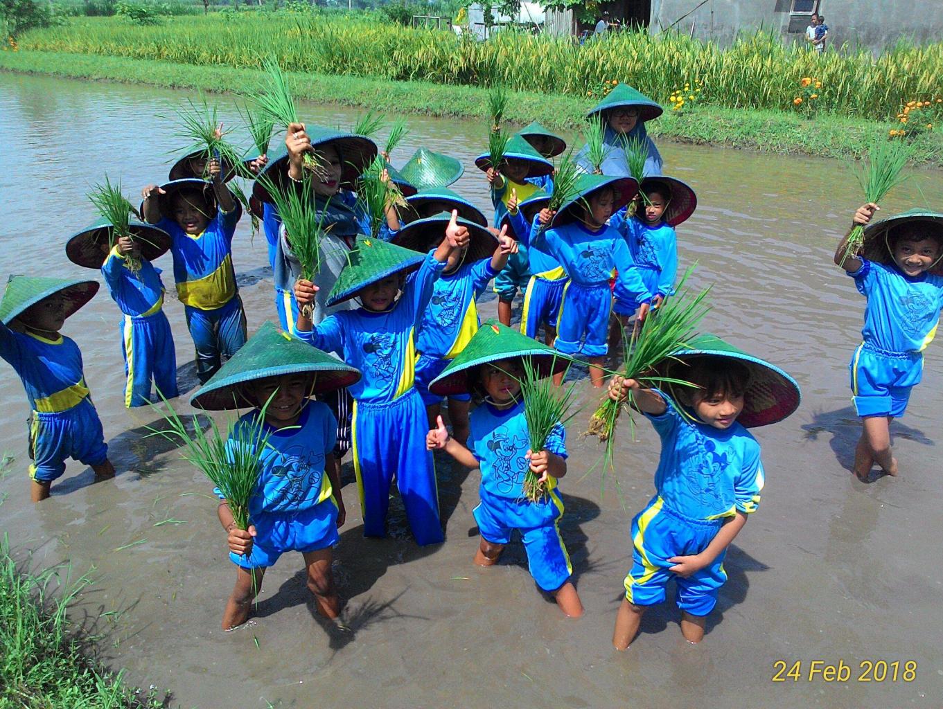 Edukasi Tandur Padi