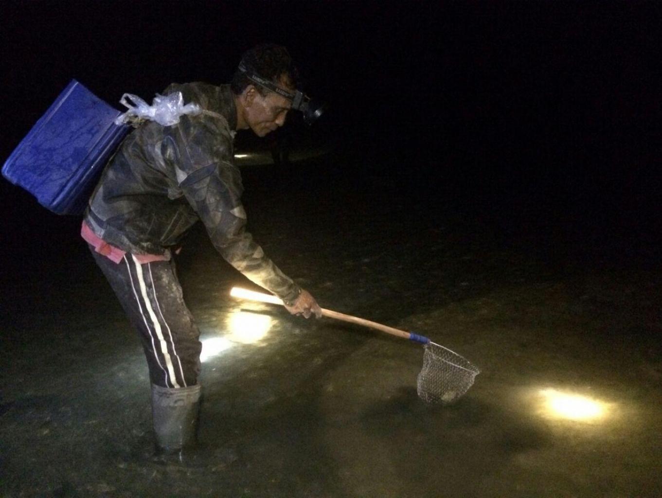 Aktifitas Wisata Malam Nyulo Di Laut