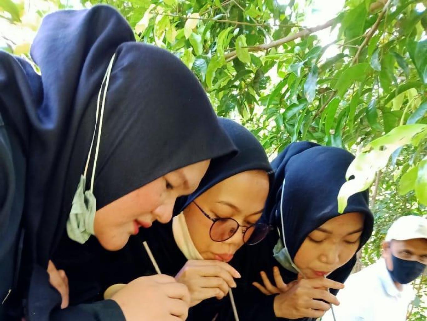 Aktifitas Belajar Ternak Madu Trigona