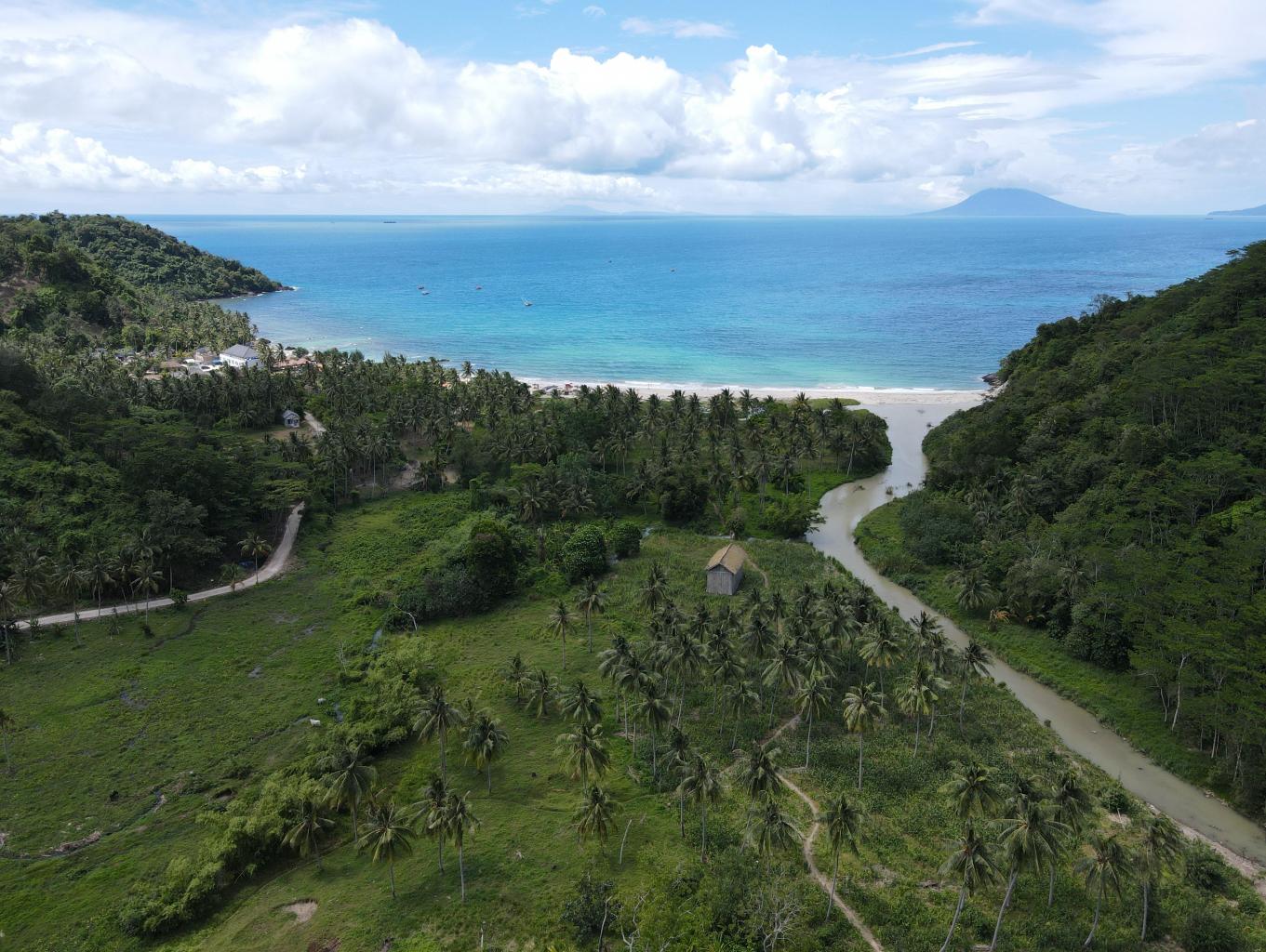 Kelawi