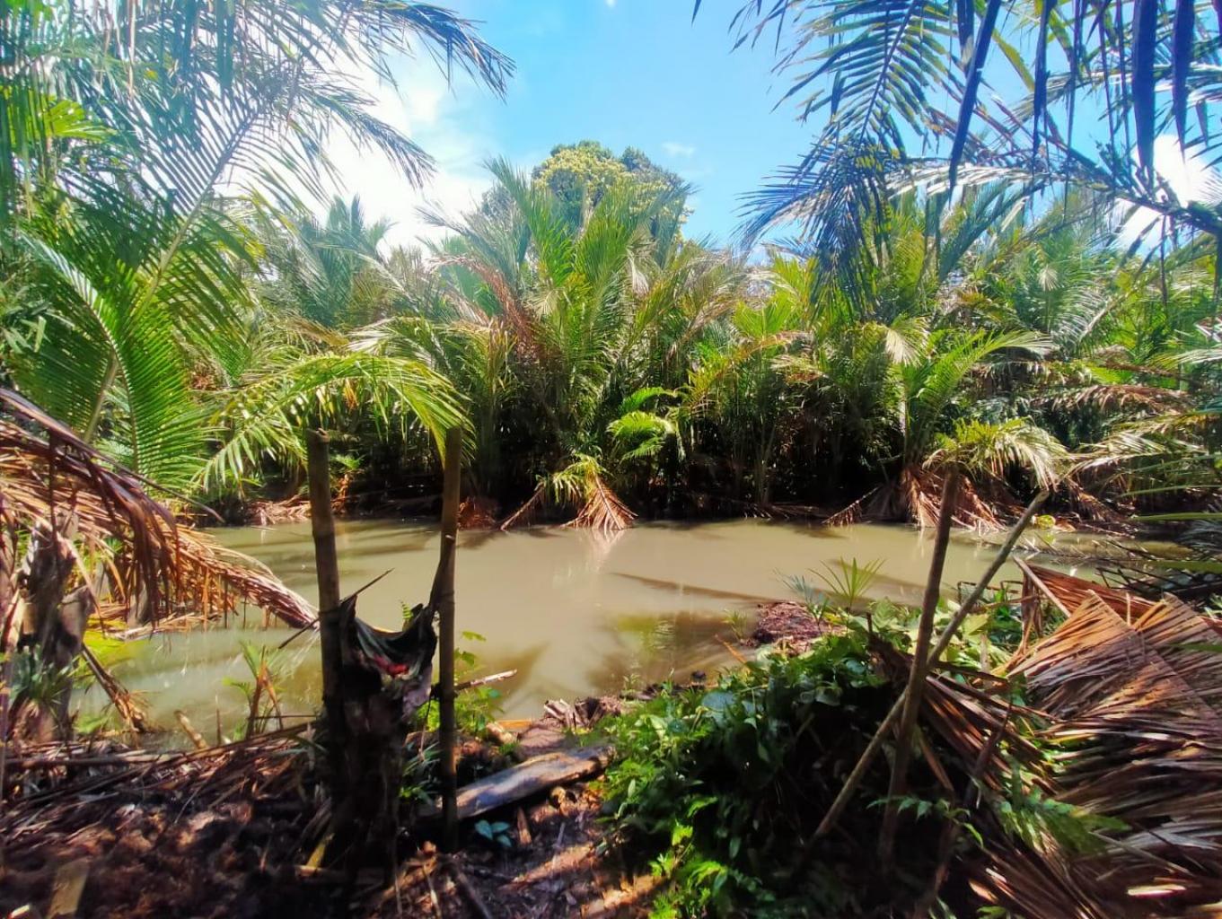 Danau Tahaiko