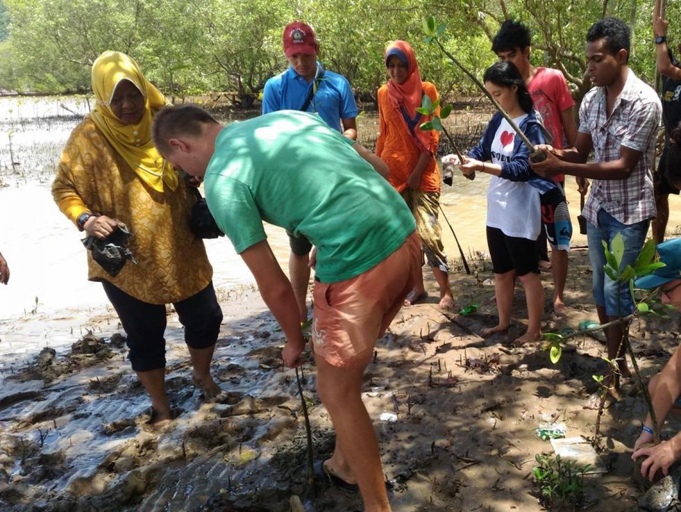 Wisata Mangrove