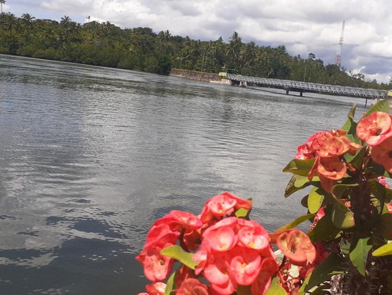 Kawasan Ekowisata Hutan Mangrove Hoat Tamngil