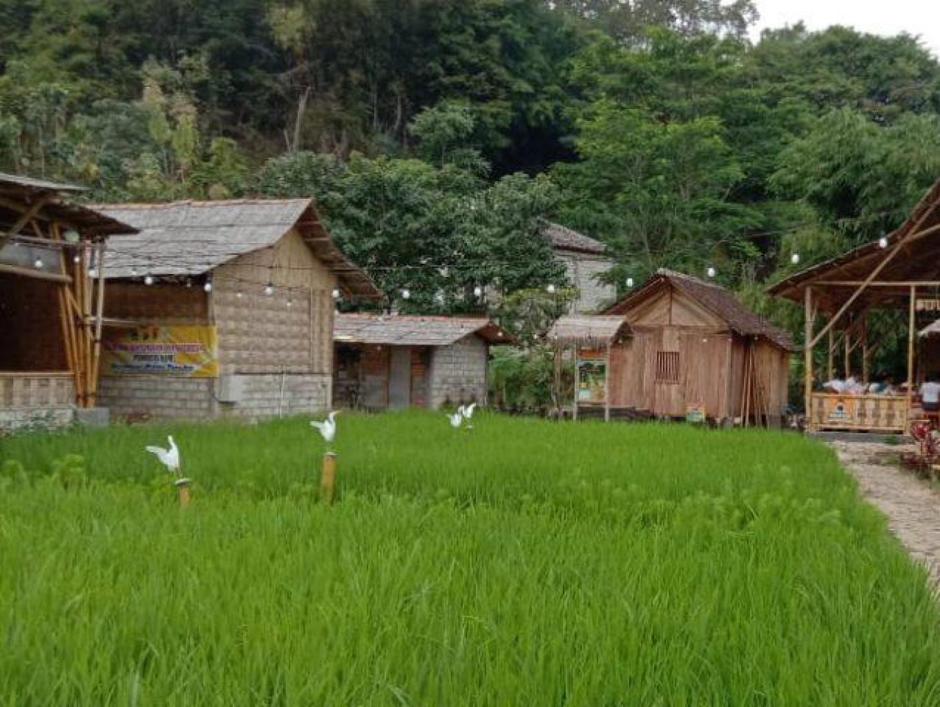 Gazebo Dengan Konsep Gubuk Sawah