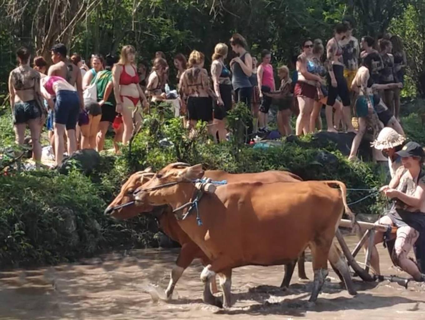 Bali Student Activities