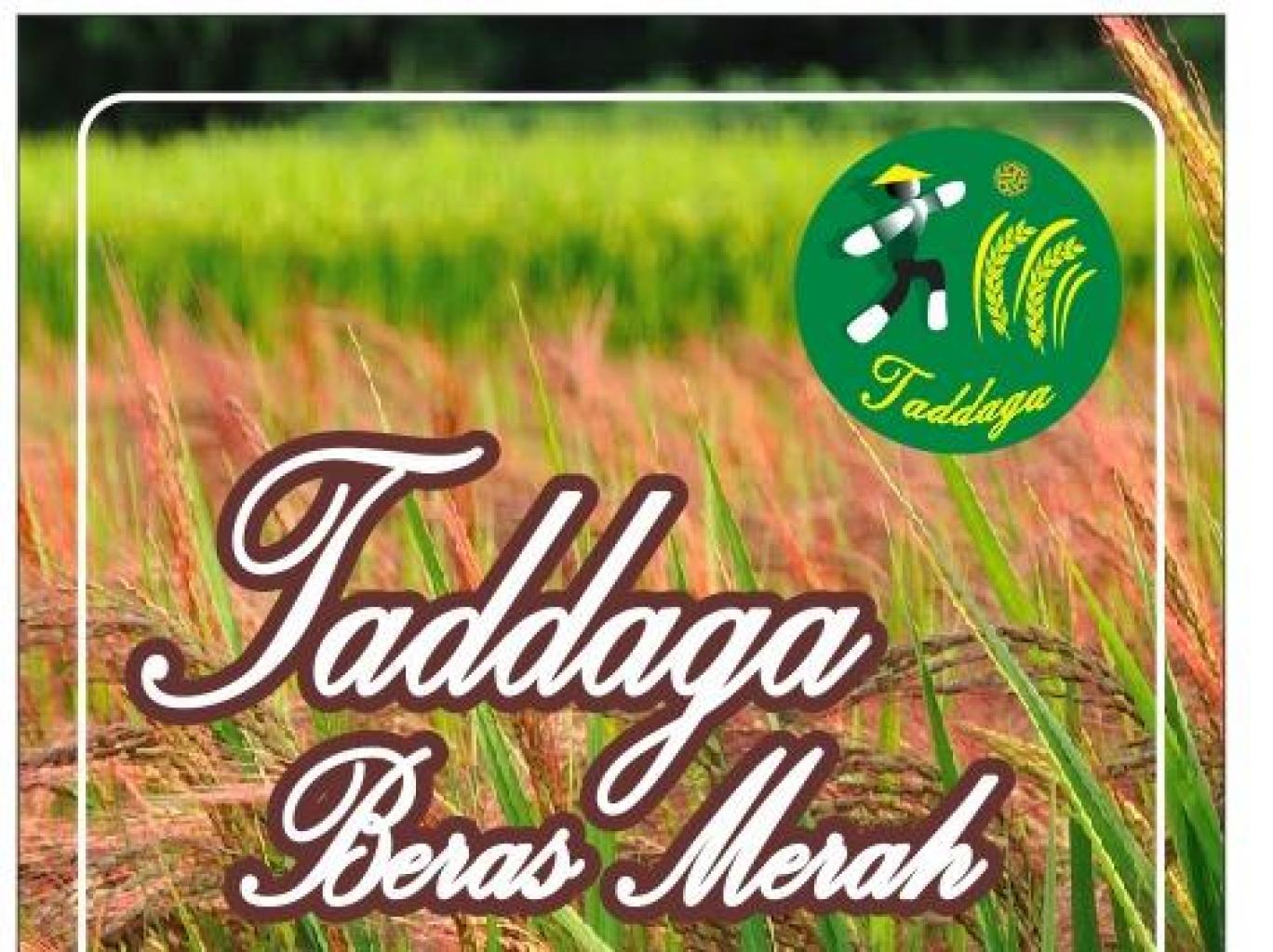 Beras Merah Taddaga