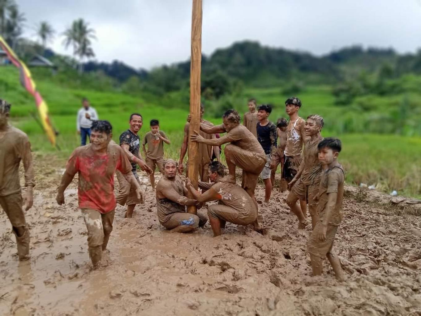 Panjat Pinang Dalam Sawah