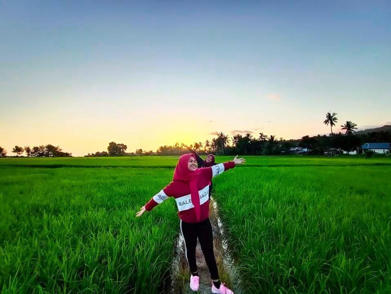 Rice Field Attractions