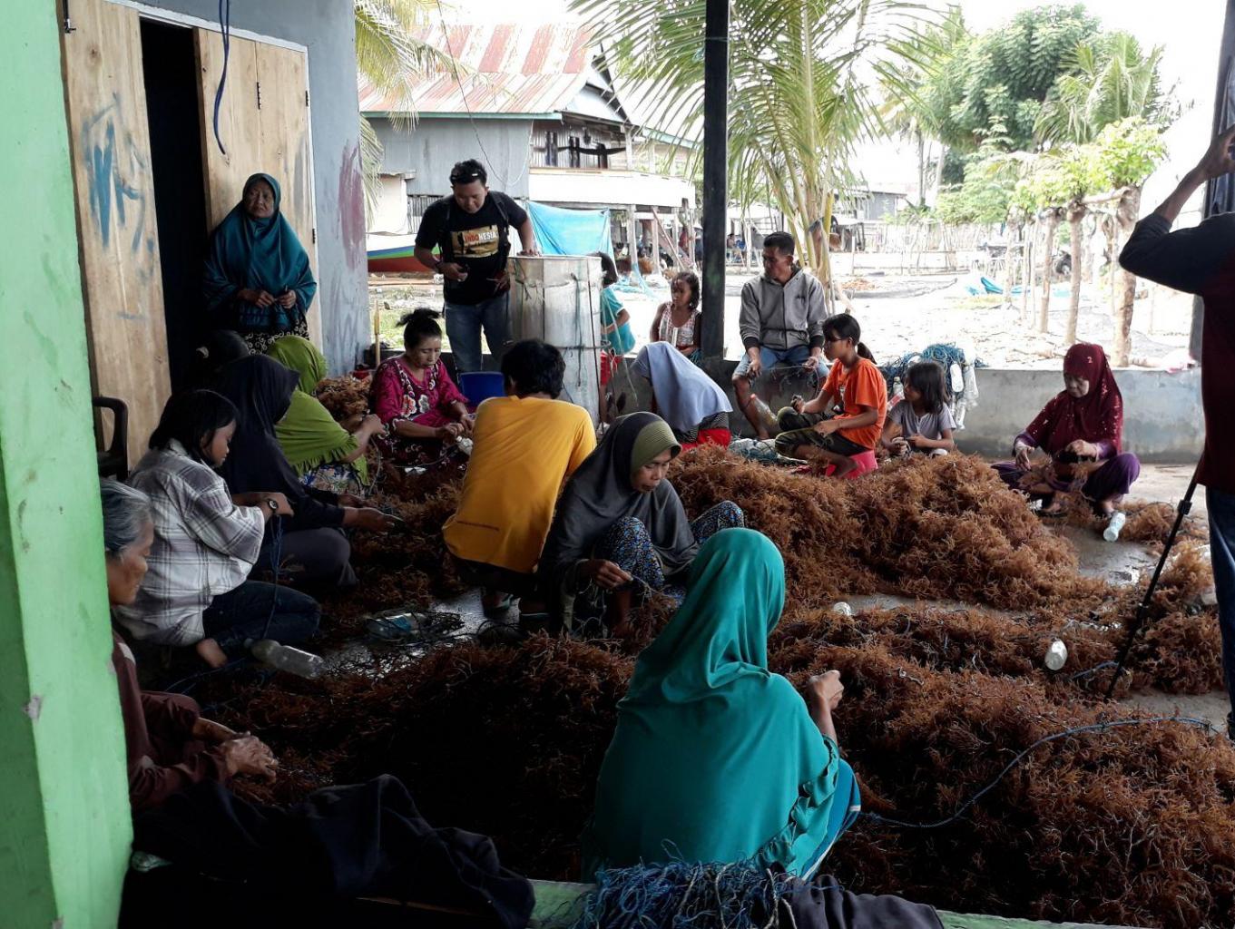Become A Seaweed Farmer