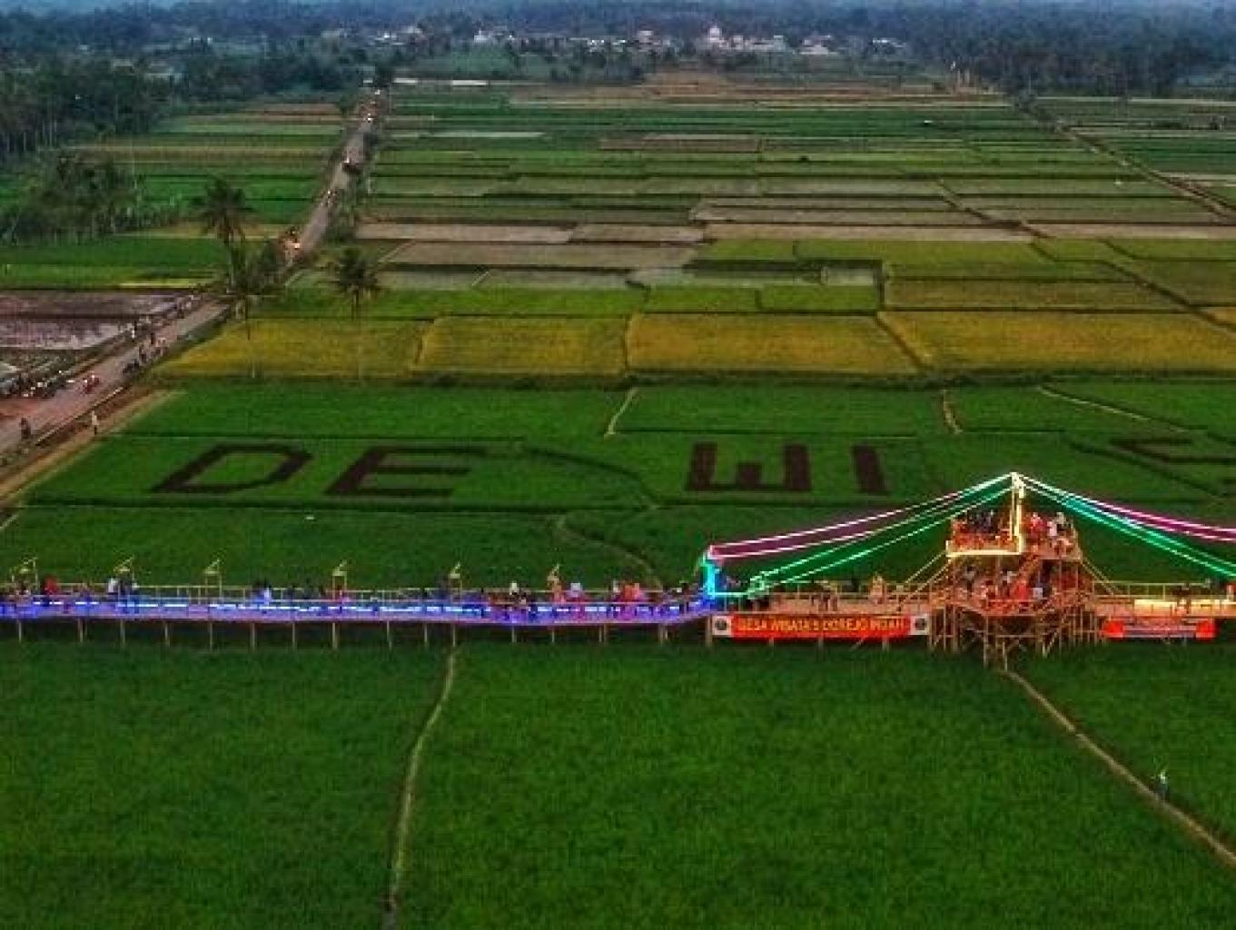 Jembatan Bambu